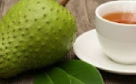 Soursop Leaves: Nature’s Hidden Cancer Secret Revealed