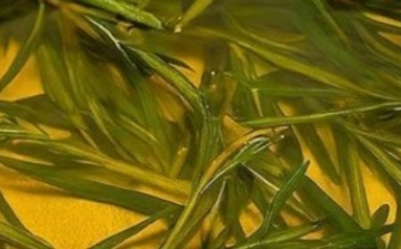 How to prepare rosemary oil to relieve muscle and joint pain