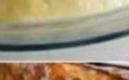 Homemade Bread Recipe