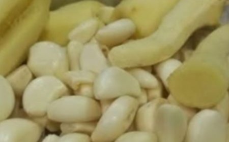 THE GOLDEN DUO: Garlic & Ginger — Your Natural Allies