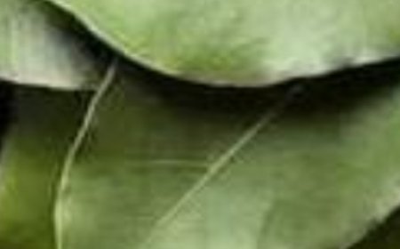 Bay Leaf Is 100,000 Times Stronger Than Botox? | Natural Wrinkle Eraser Even at Age 70!