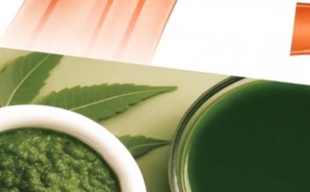 1 Leaf That May Help Manage Diabetes, Blood Pressure, Body Pain, Cholesterol, and Poor Circulation