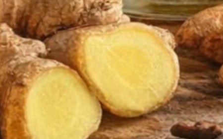 The All-in-One Master Tonic Shot: Your Daily Fire Cider Ritual That Could Transform How You Feel Every Single Day