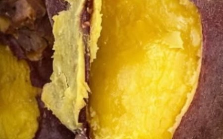 Don’t Eat Sweet Potatoes Until You Know These 13 Important Facts!