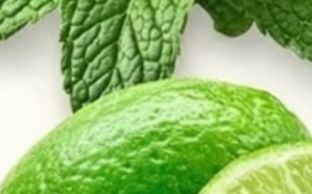 Mint and Lemon Herbal Drink: The Homemade Remedy That Cleanses, Rejuvenates, and Energizes in Minutes