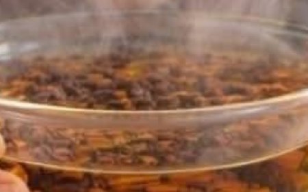 Clove Steam: A Natural Remedy for Nasal Congestion and More