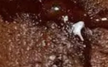 High-Protein Mug Cake