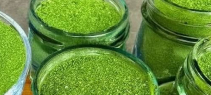 30 Powerful Reasons You Should Stop Ignoring Purslane!