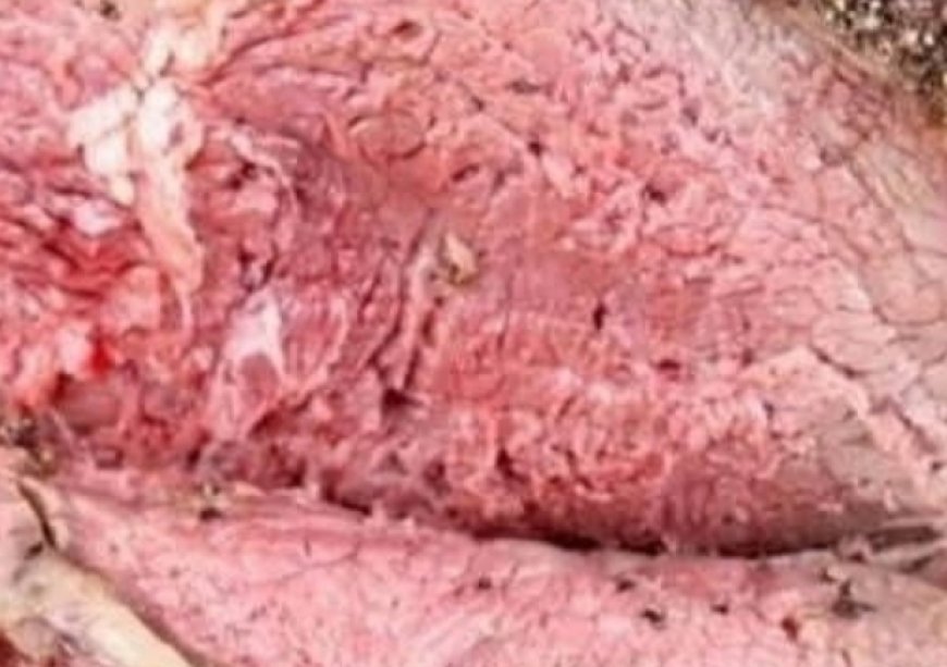 Pepper Parm Prime Rib