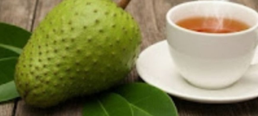 Soursop Leaves: Nature’s Hidden Cancer Secret Revealed