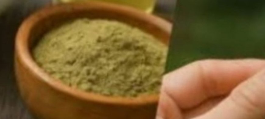 This Ancient Leaf Is Making a Modern Comeback—Should You Try It Too?