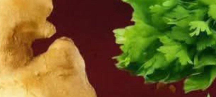 Spices to Clean Arteries and Prevent Heart Attacks