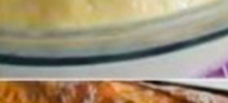 Homemade Bread Recipe