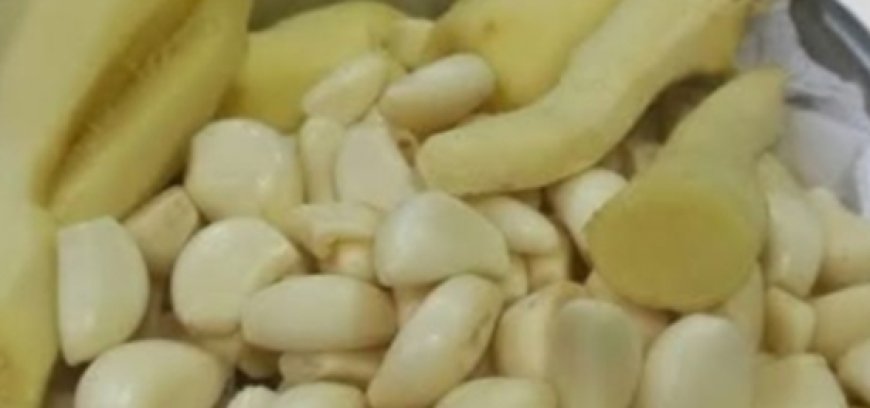 THE GOLDEN DUO: Garlic & Ginger — Your Natural Allies