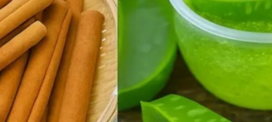 Seniors, Sip THIS Aloe-Cinnamon Sunrise Elixir Daily & Feel 20 Years of Energy Flood Back in Just 7 Mornings