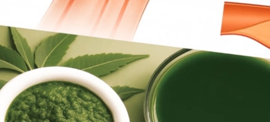 1 Leaf That May Help Manage Diabetes, Blood Pressure, Body Pain, Cholesterol, and Poor Circulation