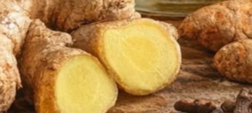 The All-in-One Master Tonic Shot: Your Daily Fire Cider Ritual That Could Transform How You Feel Every Single Day