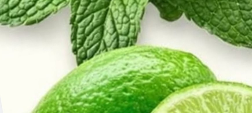 Mint and Lemon Herbal Drink: The Homemade Remedy That Cleanses, Rejuvenates, and Energizes in Minutes