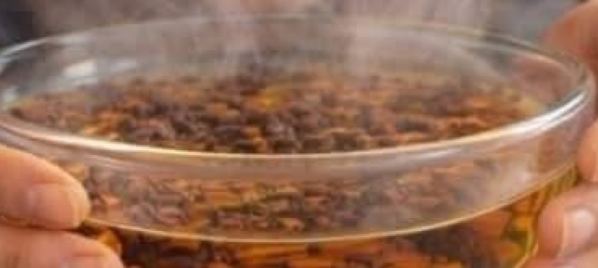 Clove Steam: A Natural Remedy for Nasal Congestion and More