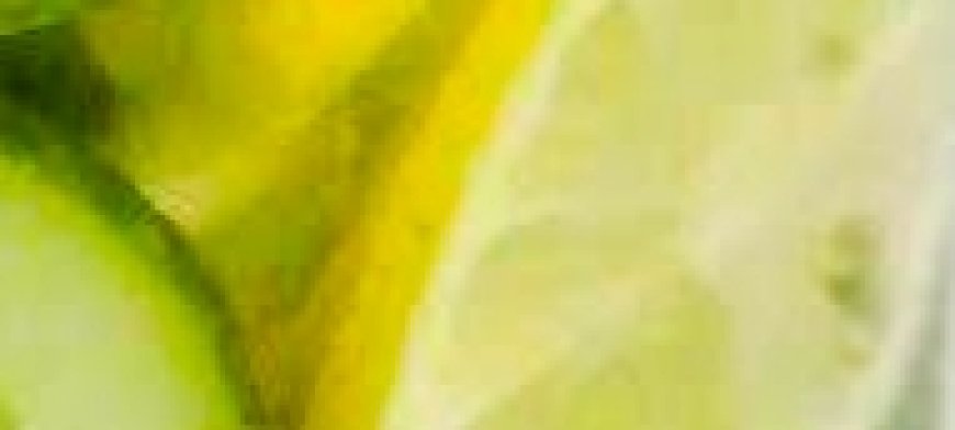 Powerful Fat-Burning Drink